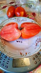 Wes