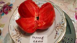 Терновский красный
