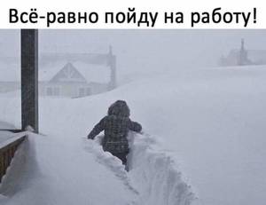 WhatsApp Image 2019-02-05 at 06.32.59(1).jpeg