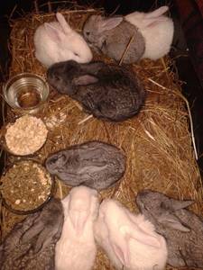20141028_105307.jpg