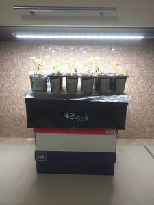 20190206_202940.jpg