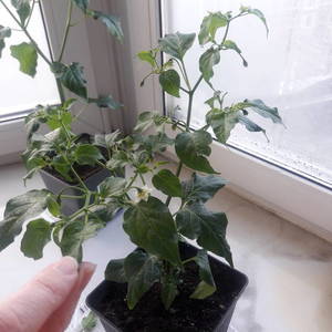 20190222_161237.jpg
