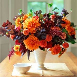 5784b997f53d2701a89a4d1b653eeb48--best-flowers-orange-flowers.jpg
