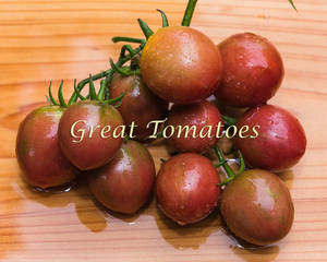 733917918_GreatTomatos-20001.thumb.jpg.1440d3444daedd01549c6017f0680d44.jpg