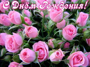 Открытка с Днем Рождения женщине, цветы, розовые розы.jpg