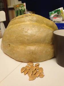 IMG-20190206-WA0013.jpg