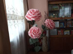 IMG_20190209_134148.thumb.jpg.a8641777be1616db0a073ef22e05b061.jpg