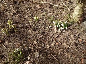 IMG_20190220_110148.thumb.jpg.c9a8bd71bea3b393ca5a680c5e7e0546.jpg