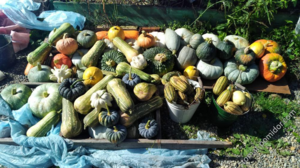 image.thumb.png.1b4bf4a882b296bc2b368454342d53cf.png