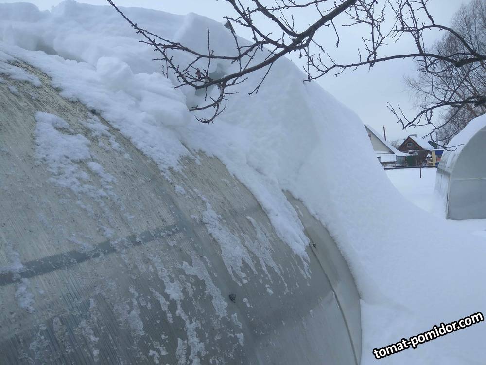 30.01.20190-7.jpg