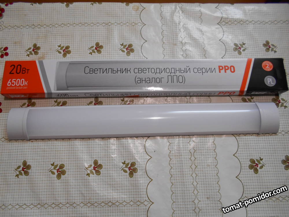 DSCN0837.JPG