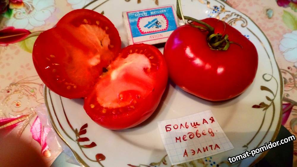 _20190207_144514.JPG