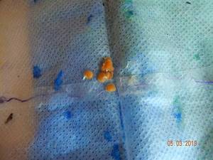 DSCN9543 После холодильника..JPG