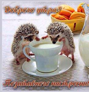 ежики доброе утро.jpg