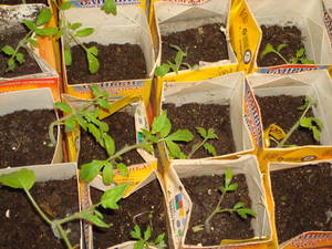 19.02.в пеленки.jpg