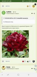 Screenshot_20190309-221503_Samsung Internet.jpg