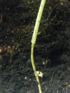20190301_192103.jpg