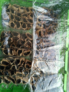 IMG_20190309_145939_HDR (1).jpg