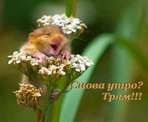 744596617_.thumb.png.b30b7f2f13a72a73a9624acfd9a9cb88.png