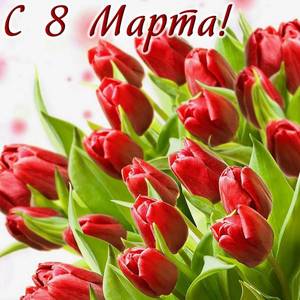 8marta0049.thumb.jpg.3299ac942d567fbf643726509eff2ffe.jpg