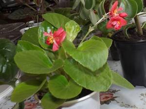 DSCF6542.JPG