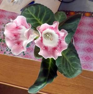 DSCF6547.JPG