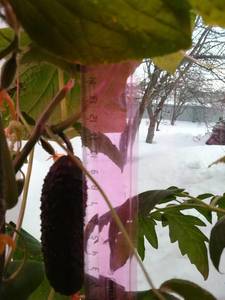IMG_20190314_170805.thumb.jpg.f0b265b593d619b0c70093fb77999366.jpg