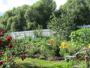 IMG_3083_1.JPG