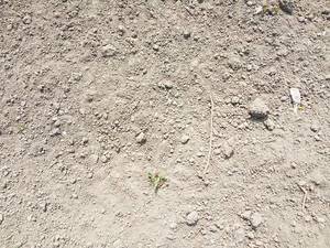 2019-04-28_17-33-02_266.thumb.jpg.bf7d587845af0167ccc6bf7ef9041519.jpg