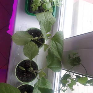 20190408_104340.jpg
