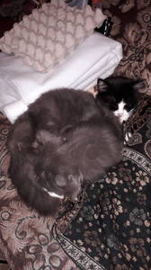 20190419_224338.jpg