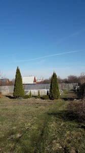 20190420_081642.jpg