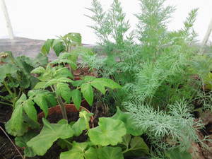 20190429_095632.jpg