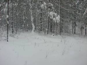 DSC04690.JPG