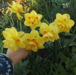 DSCF6702.JPG
