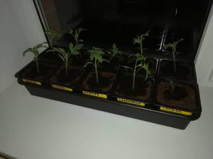 IMG_20190417_211914.jpg