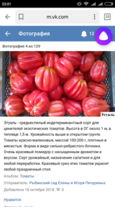 Screenshot_2019-04-01-23-01-21-530_ru.yandex.searchplugin.png