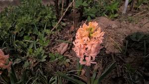 WP_20190426_14_04_21_Pro.jpg