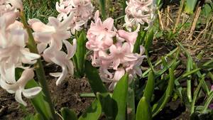 WP_20190426_14_04_56_Pro.jpg