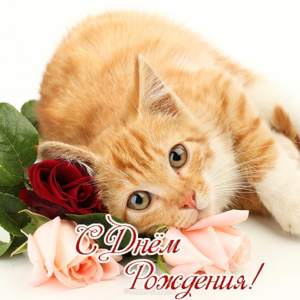 image.thumb.png.c947484aecbb33fd9fb19a074816a981.png