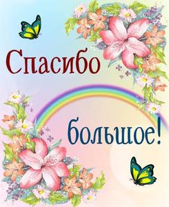 spasibo0014.thumb.jpg.9a802cfa0186a60cb974b5220569df52.jpg