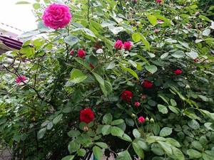 2019-05-20_18-53-36_935.thumb.jpg.6a196cd6bffa75227a8d164bed84948b.jpg