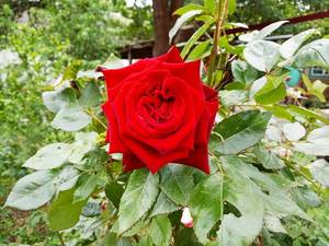 2019-05-20_18-57-20_935.thumb.jpg.9eaf7aaef0e20c14a3f04ccfd4c3202b.jpg