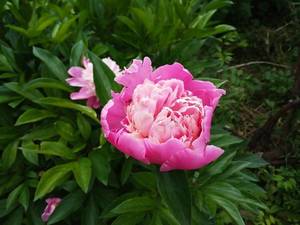 2019-05-26_14-50-29_285.thumb.jpg.b879d81e747f5bea003a6dcc0845f5cb.jpg