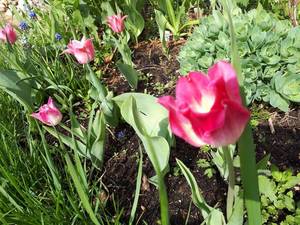 20190510_101142-1152x864.jpg