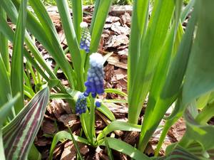 20190510_101616-1152x864.jpg