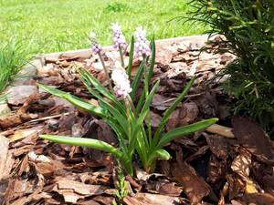 20190510_101630-1152x864.jpg