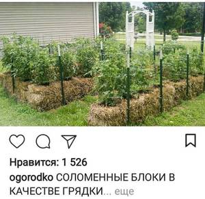 Screenshot_2019-05-11-11-59-52~2.jpg