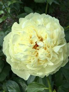 8A5614B0-ABDA-4B71-BC88-EA37C7E48820.jpeg