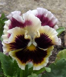 DSCF6825.JPG